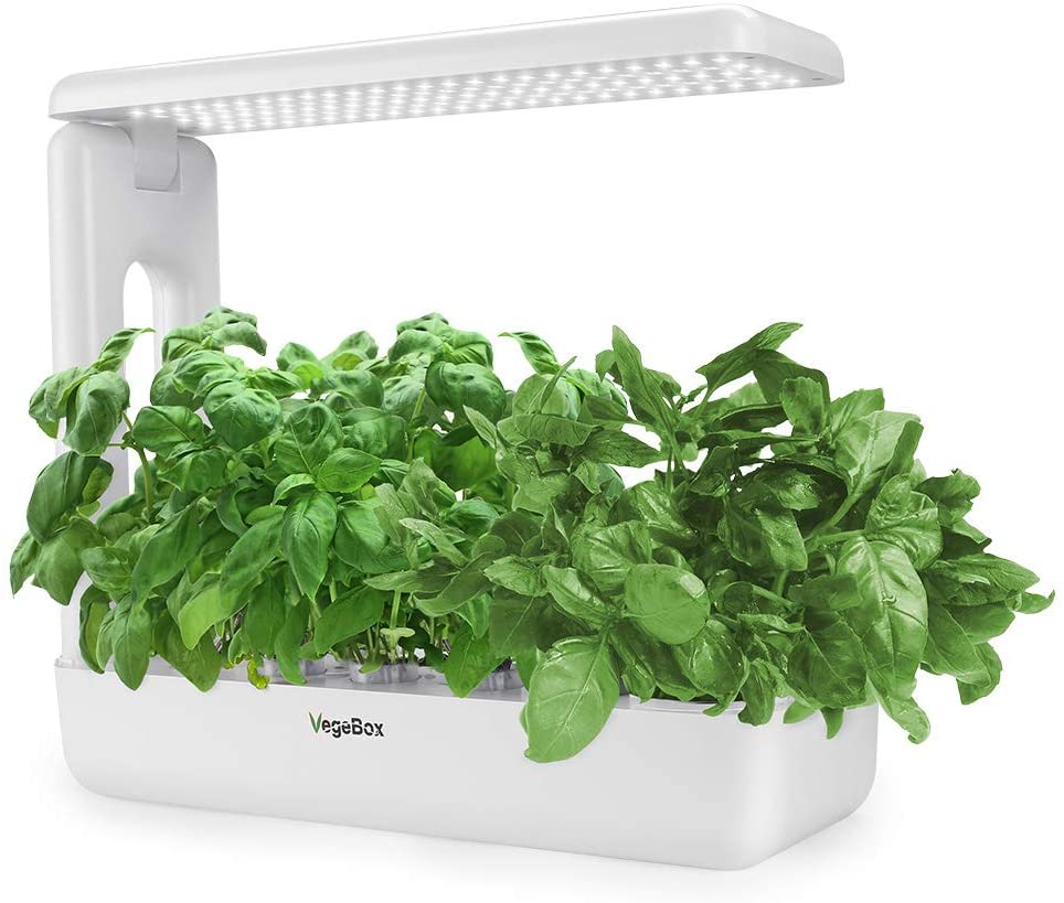 The 3 Best Indoor Hydroponic Gardening Systems For Food - VegBox